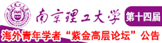 肏女人大肥屄视频南京理工大学第十四届海外青年学者紫金论坛诚邀海内外英才！